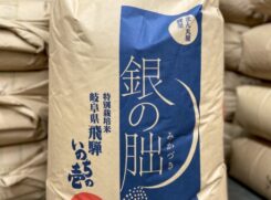 岐阜県飛騨産　銀の朏　「特別栽培米」（令和４年産)